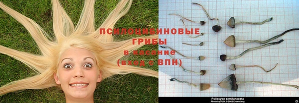ешки Медногорск
