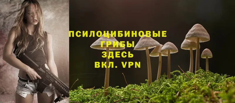 Псилоцибиновые грибы Psilocybine cubensis  блэк спрут вход  Нижний Ломов  где найти наркотики 